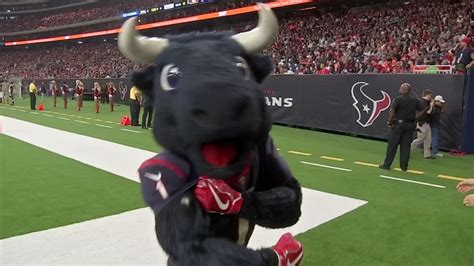 The Impact of the Houston Britches Mascot on Student Engagement